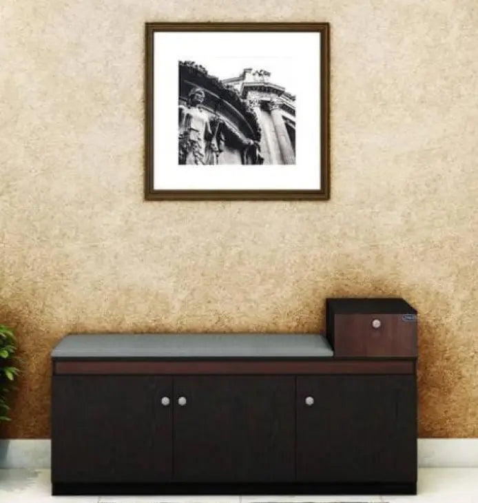 StepMaster shoe cabinet with a bench and top drawer for essentials.