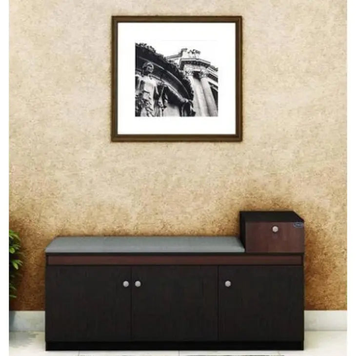 StepMaster stylish shoe rack organizer with three sections and a drawer.