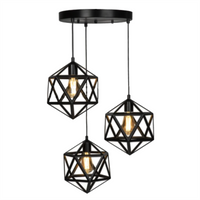Hexagon Hanging Light Cash on Delivery on doorpey.com